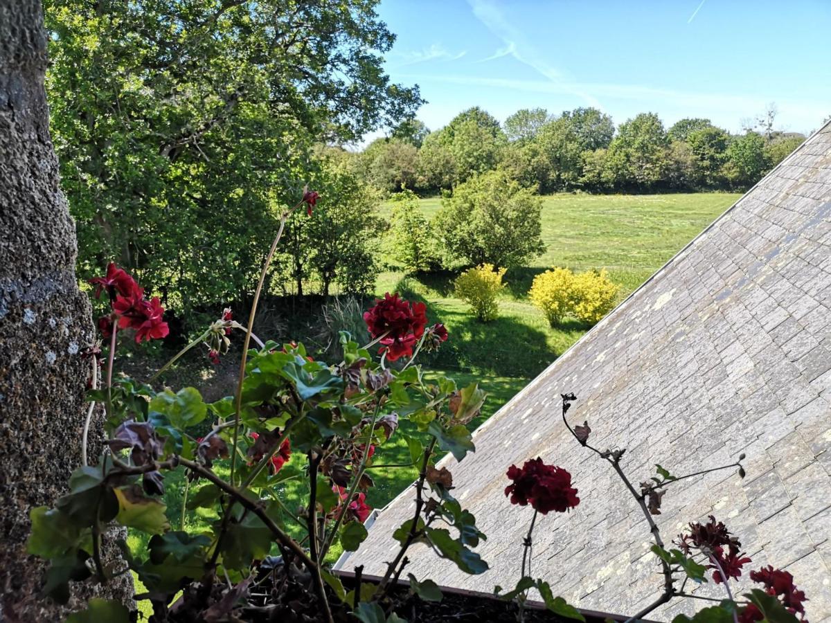 Manoir De La Foulerie Bed & Breakfast Ancteville Bagian luar foto